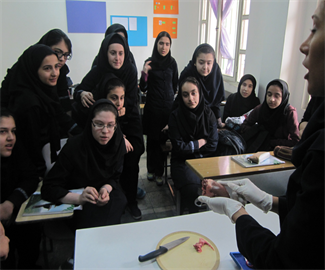 کار گروهی