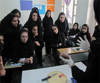 کارگاه تشریح -قلب