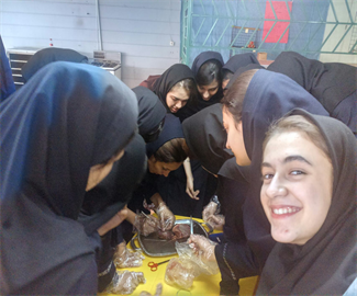 تشریح کلیه دوم تجربی