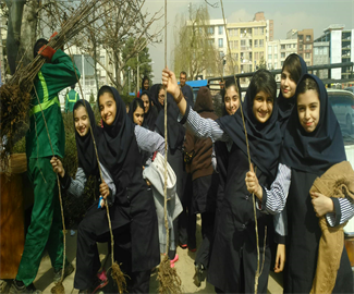 درختکاری