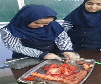 کلاس تشریح
