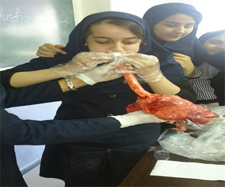 کلاس تشریح