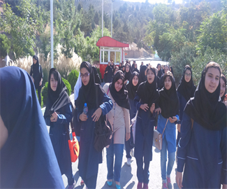 پارک دلفیناریوم برج میلاد
