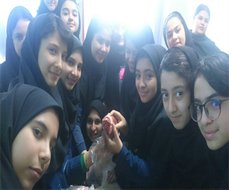 تشریح زیست پایه هفتم