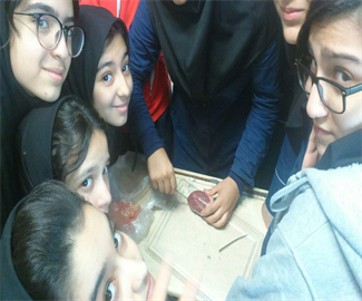 تشریح زیست پایه هفتم