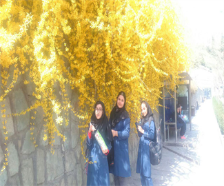 اردوی بوستان نهج البلاغه اسفند 94