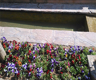 اردوی بوستان نهج البلاغه اسفند 94