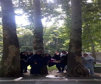 سعدآباد
