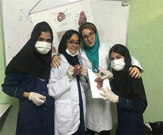 تشریح قلب