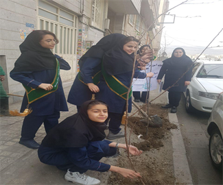 روز درخت کاری
